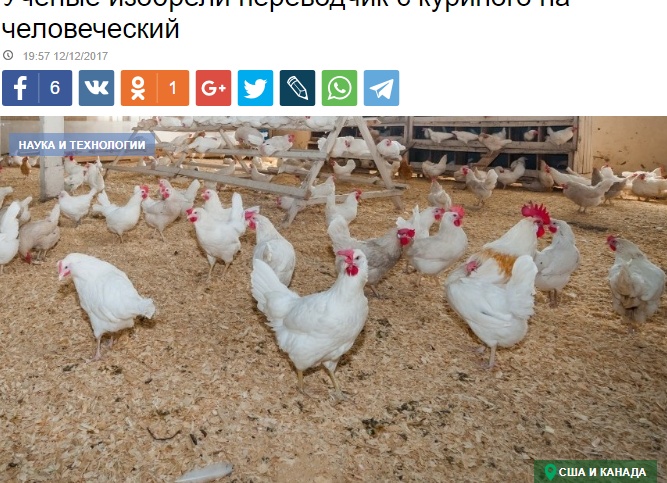 С цыплячьего на человечий или словарь молодёжного сленга 2024. 50 самых частоупотребляемых слов.